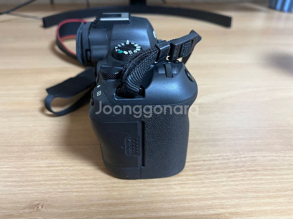 캐논 r6mark2 RF 24-70f2.8 LISusm--6