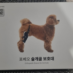 포베오 슬개골 보호대(3단계) 팝니다