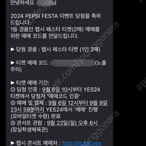 2024 펩시 페스타 콘서트 티켓 2매