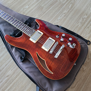 Schecter Guitar Research C-1 E