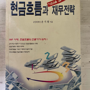 현금흐름과 기업을 살리는 재무전략 - 손기원