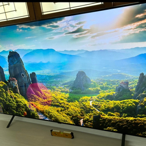 LG OLED 65인치 tv