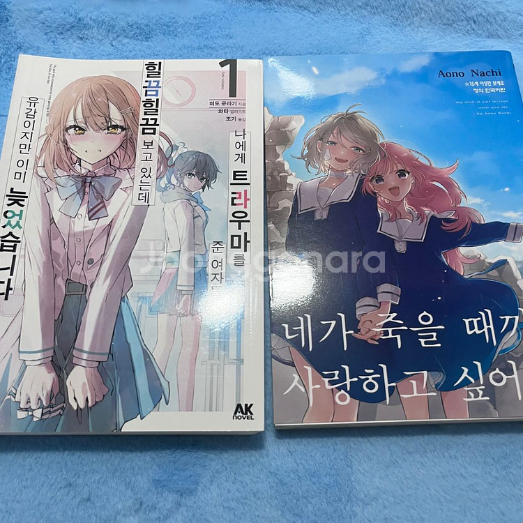 만화책 정리합니다 타몬군 우마루 먼작귀 문호독 라노벨--3