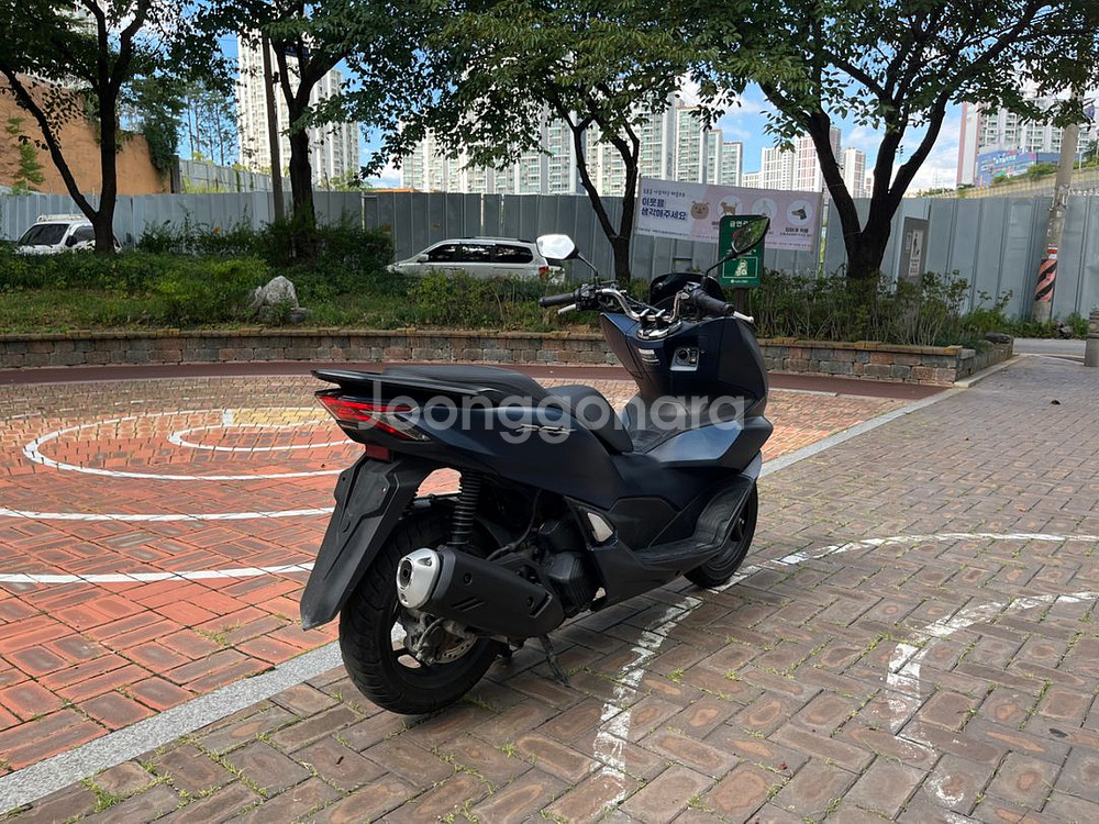 pcx125 23년식--4