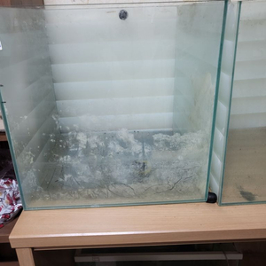 1자광폭 어항2개 무료 나눔