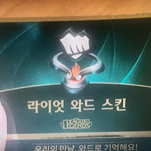 라이엇 주먹와드 스킨판매