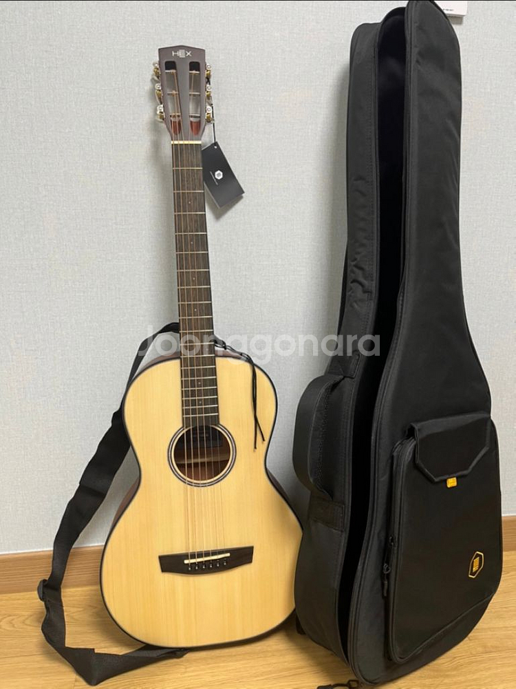 헥스기타 F100 새상품 팝니다--1