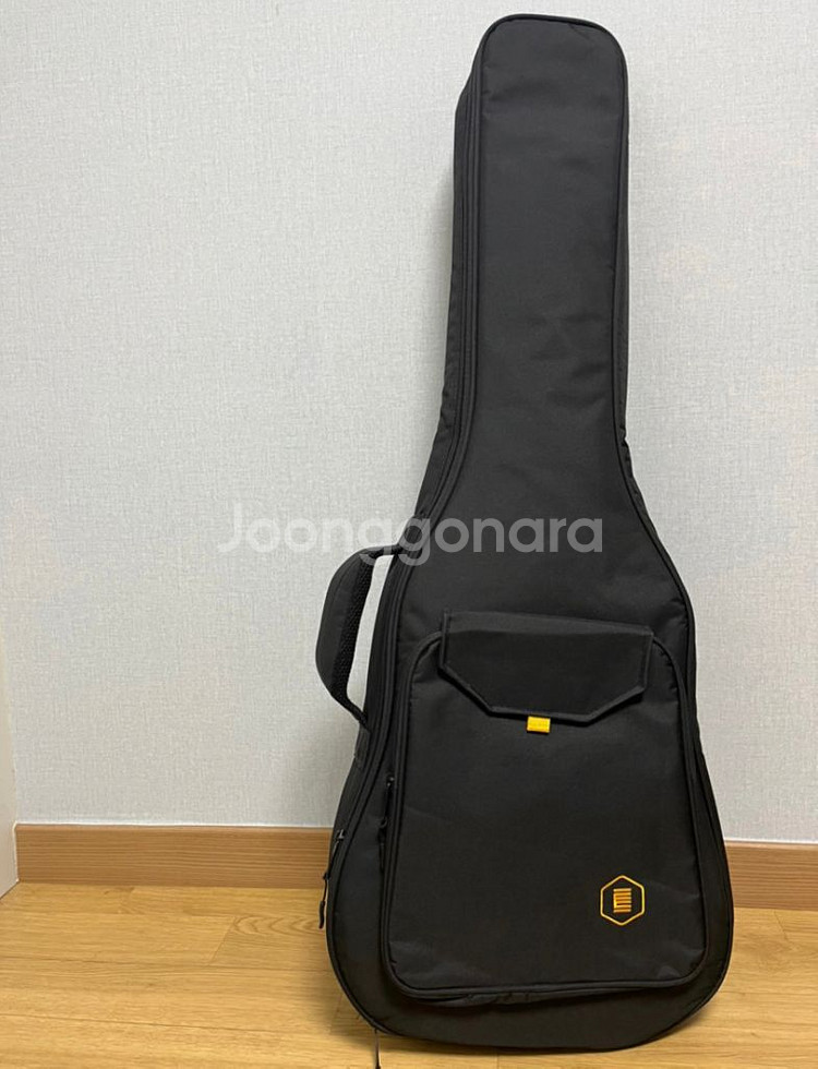 헥스기타 F100 새상품 팝니다--2