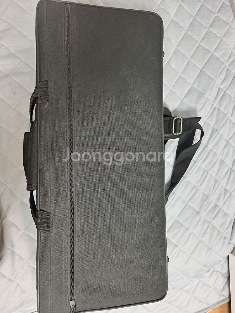 뮐러 색소폰--1