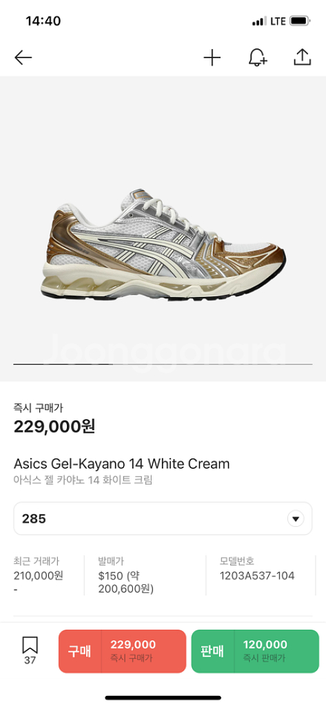 (시착만) 젤카야노14 화이트크림(285사이즈)--2