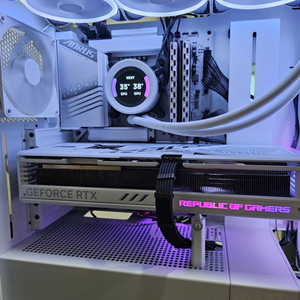 4090 스트릭스 13900k z790 z73 본처