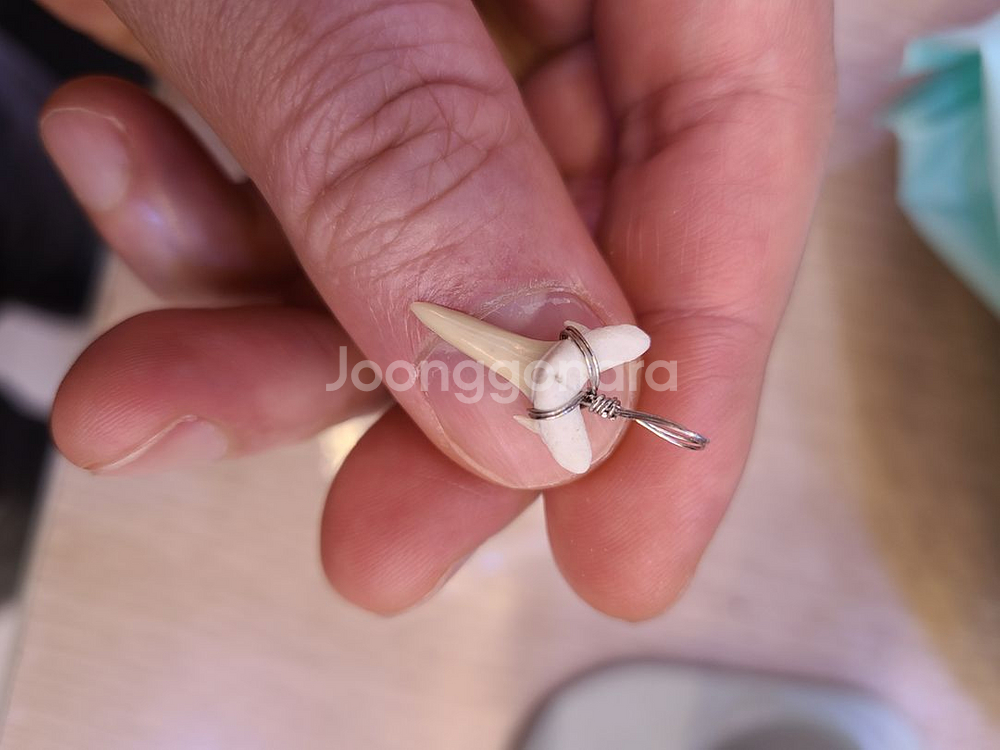 행운을 가져다 주는 상어이빨 팬던트 팔아요--3