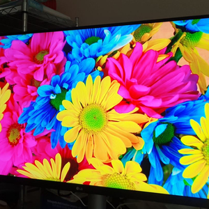 LG 32인치 4K 모니터 32UN550(풀박/신품급/