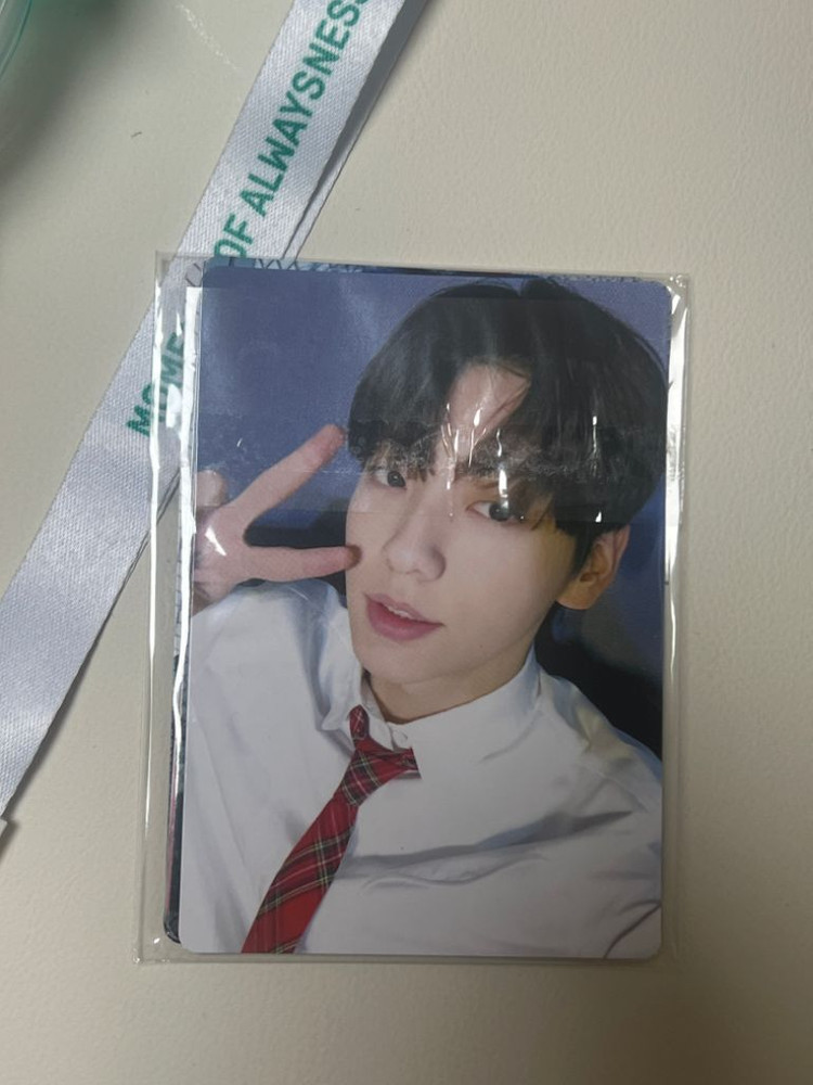 모아봉1풀세트 이미지