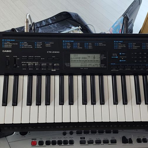 전자올겐 CASIO CTK-2300