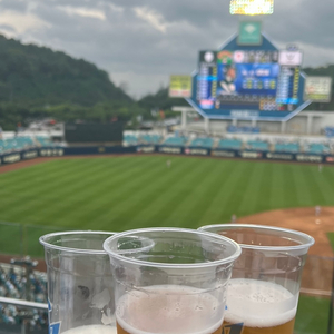 [티켓구함] 9/7 삼성vsNC 2연석 양도 해주실 분