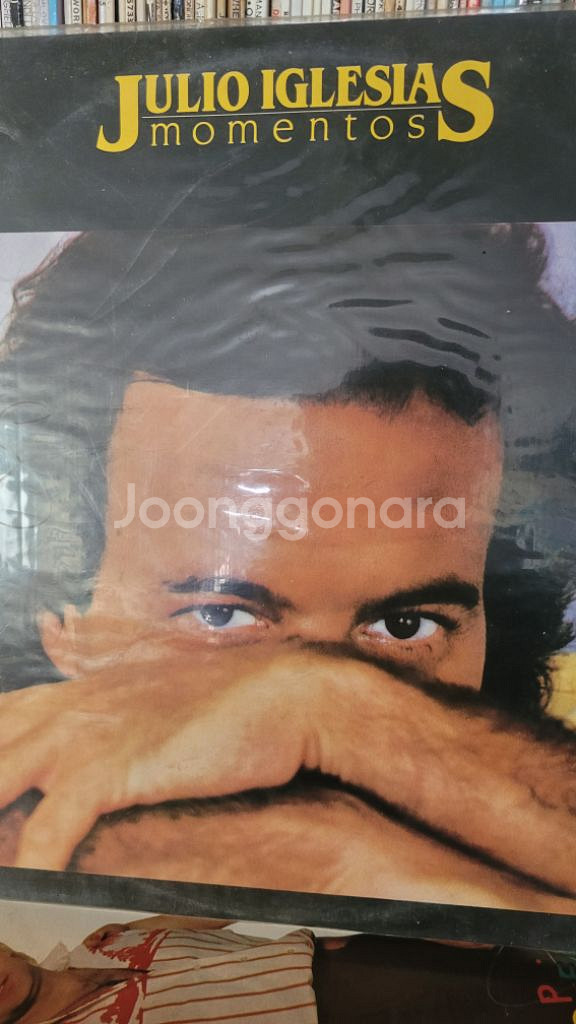 훌리오 이글레시아스 의 명반 lp--1