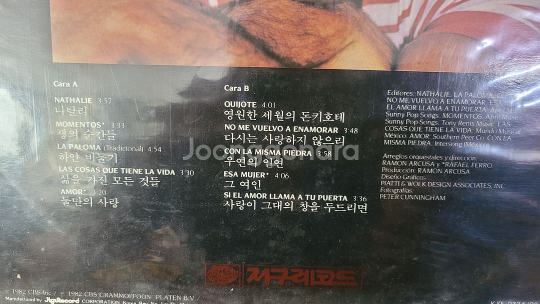 훌리오 이글레시아스 의 명반 lp--3