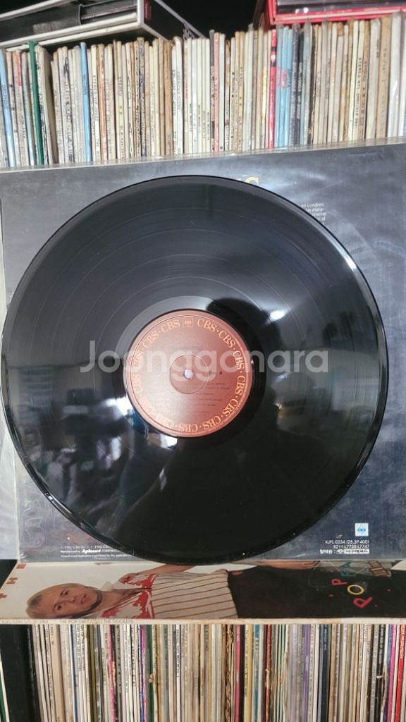 훌리오 이글레시아스 의 명반 lp--5