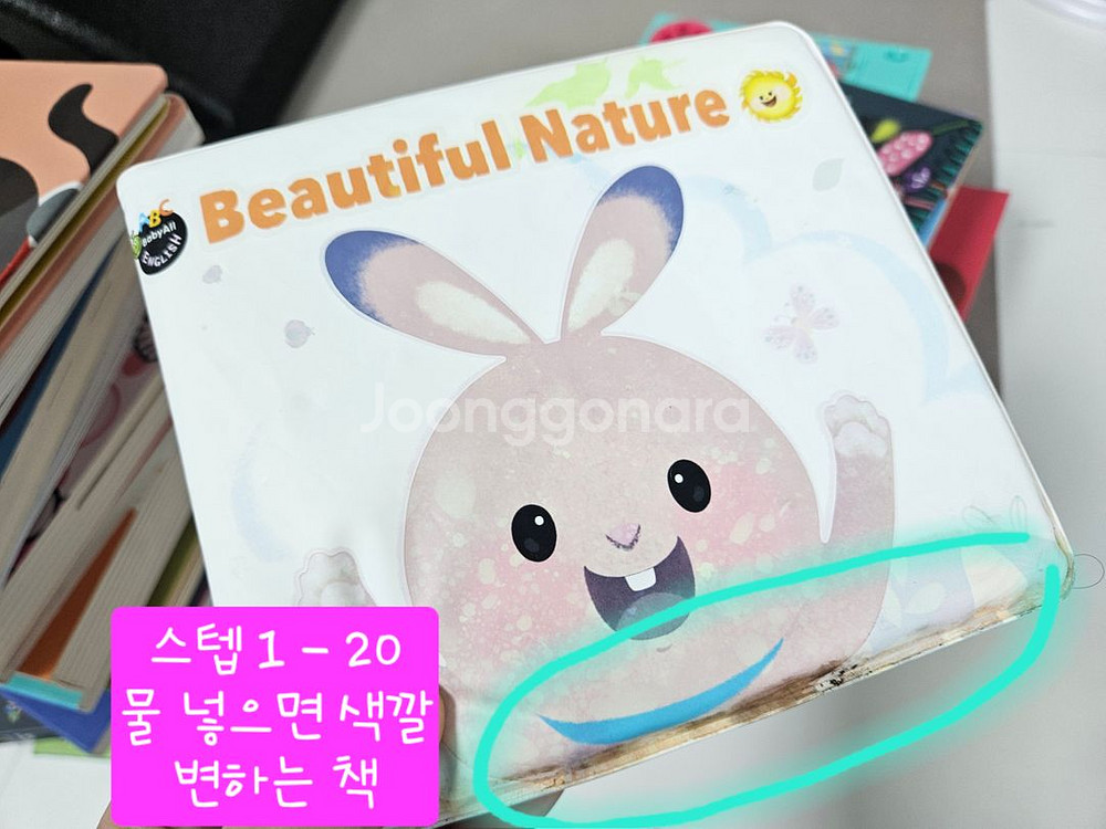 아람 베이비올 영어--2