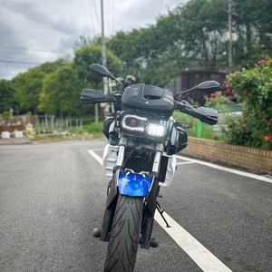 BMW F800R