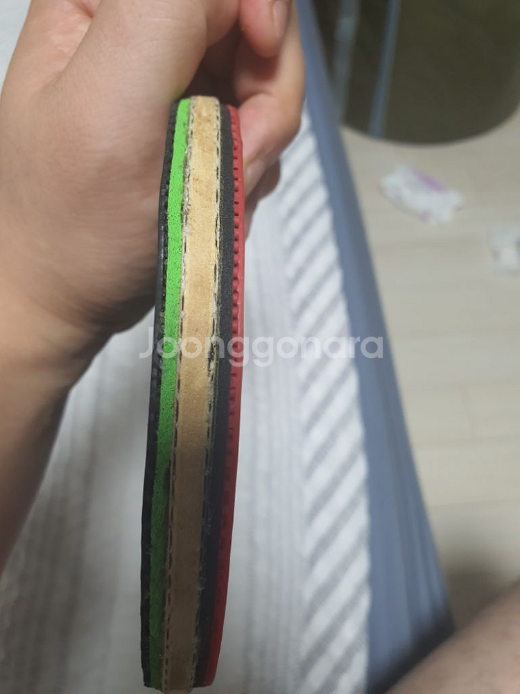 빅타스기어아웃--5
