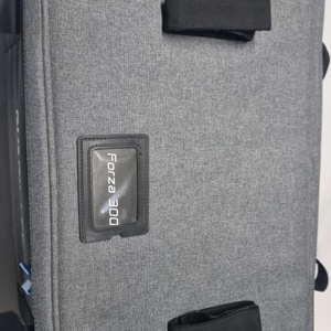 난라이트포르자 300판매합니다