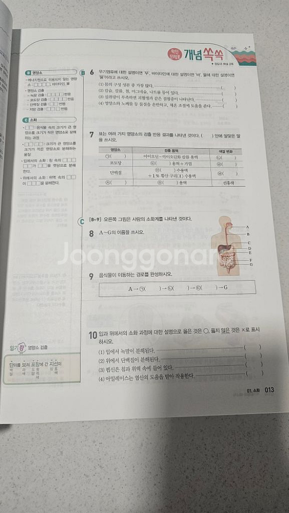중등과학 비상 문제집 오투 중2-2--1