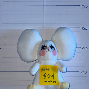 (새상품)짐승친구들 슘당이 인형