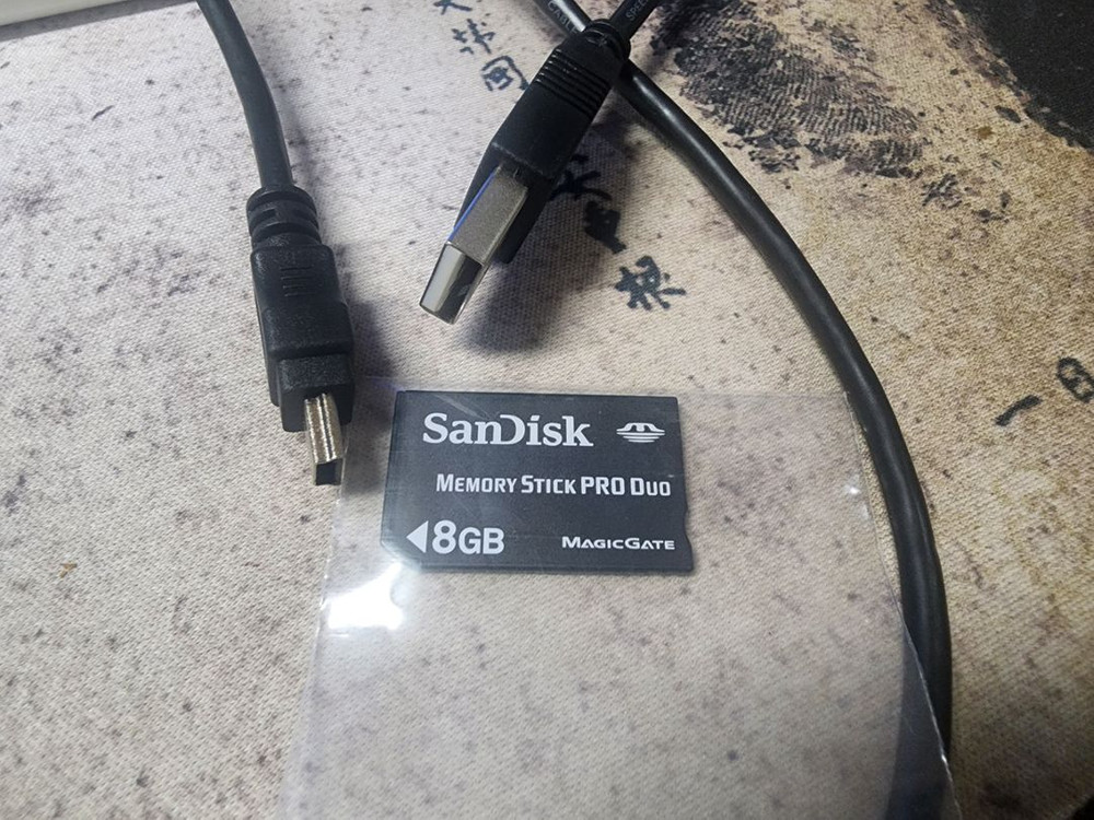 PSP 3005 영구커펌 이미지