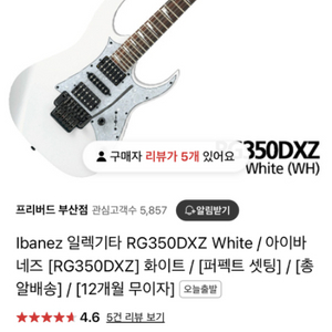 아이바네즈 RG350DXZ