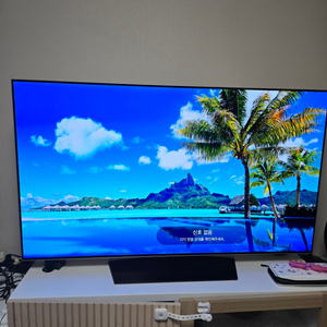 LG OLED55B7F(패널1회교체) +스탠드거치대