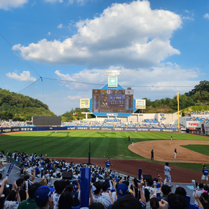 9월 4일 두산전 원정응원석 2연석 양도합니다.