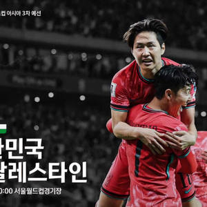 (정가)한국vs팔레스탄 축구 레드석4연석