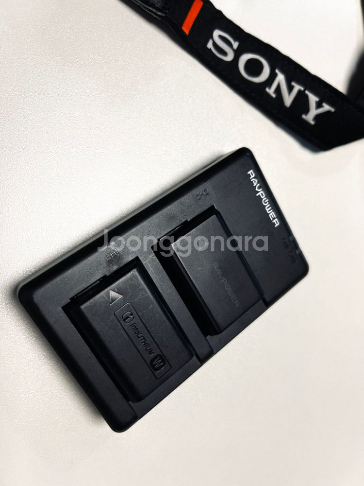 소니 A6500+SELP 18-105 F4 G OSS--8