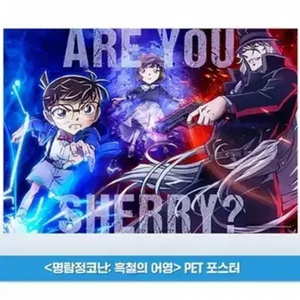 cgv 명탐정코난 흑철의 어영 4주차 pet 포스터