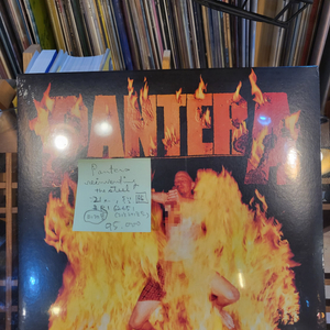 Pantera.reinventing the steel.