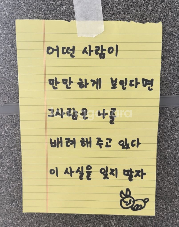 쉐딩--0