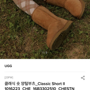 UGG 클래식 숏 양털부츠 US6사이즈(새상품)