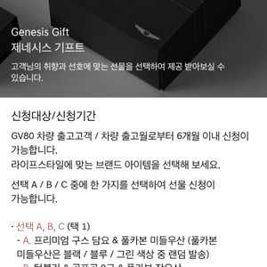 제네시스 기프트 GV80