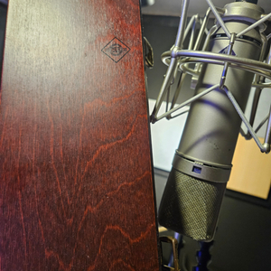 Neumann U87 Ai 노이만 u87 ai 마이크