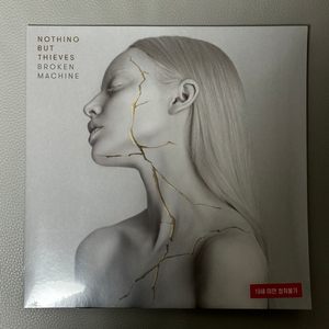 Nothing But Thieves 나씽벗띠브스 LP