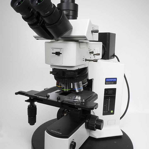 올림푸스 금속현미경