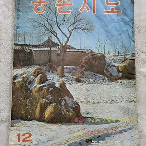 1965년 12월 1일 발행된 농촌지도