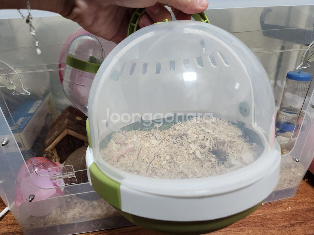 햄스터 집 (리빙박스) 120L [급판매]--1