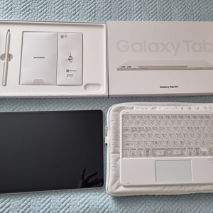 갤럭시탭 s9 + wifi 256g
