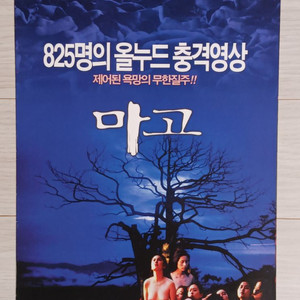 마고(2002년)(2단)