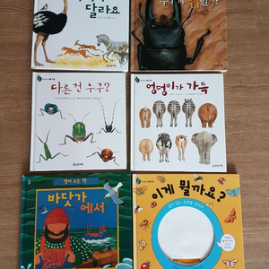 웅진반딧불 과학그림 47권 아기책 유아책 동화책