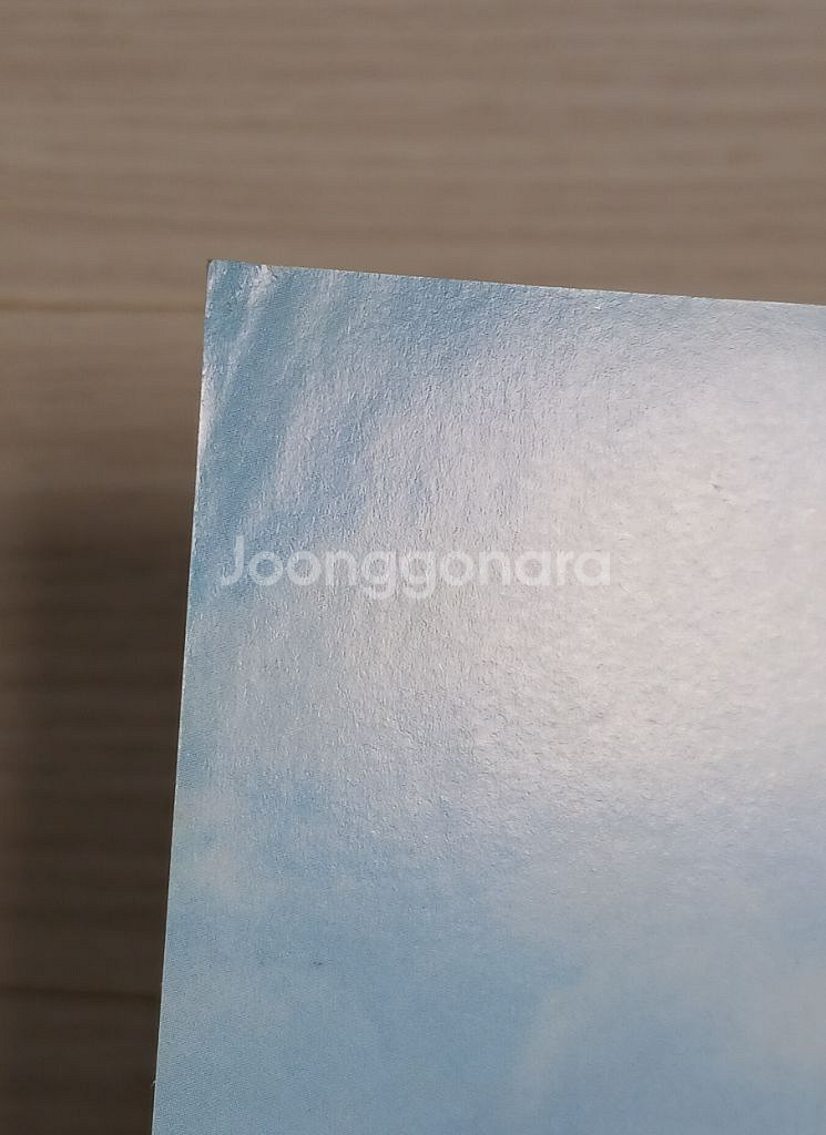 영화전단지 데이빗아퀘트 안소니앤더슨 스팟--2