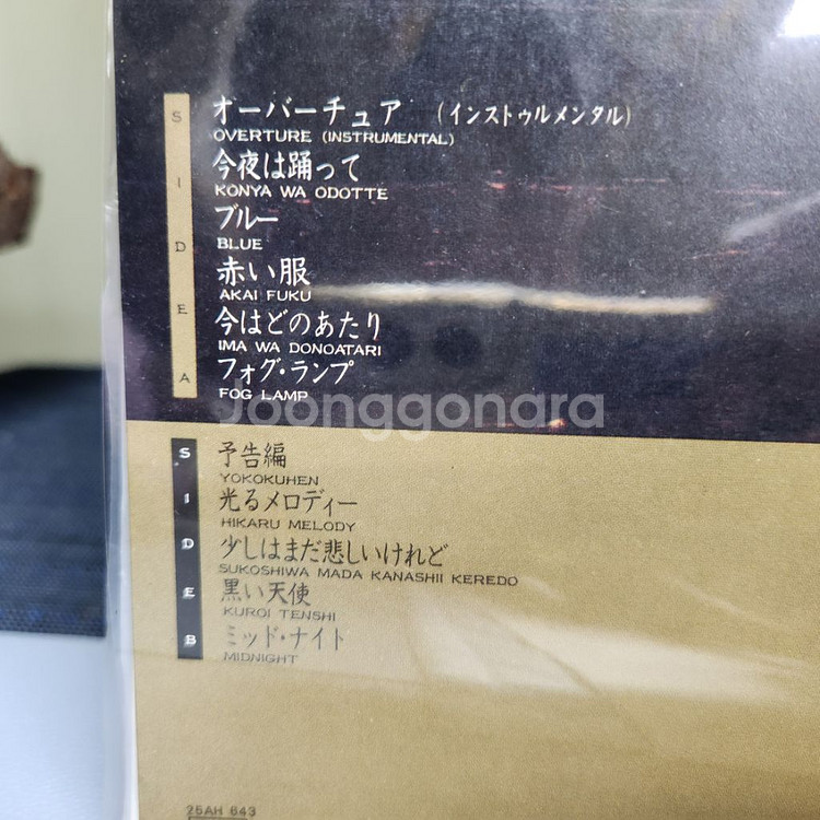 와타나베 마치코 Watanabe Machiko--4